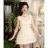 Yi Ge Li La Spring/Summer New Product Apricot Colored Three Dimensional Embroidered Bead Tassel Sexy V-neck Open Backed Fluffy Short Skirt for Women 68291