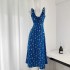 Klein Blue White Romantic Floral Lace Dress