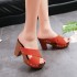 2018 Spring New Fish Mouth Straight Rivet Cross Strap High Heel Thick Heel Thick Bottom Roman Cool Dragging Women