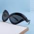 2023 New European and American Y2K Millennium Cat Eye Sunglasses for Women, European Milan Fashion Show Sunglasses for Women, Cross border Wholesale