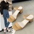 Women's 2021 Summer New Korean Style Thick Heeled Fashion Slippers with a One Word Square Head and Outerwear, Ins Trendy Hair Collection