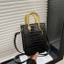 Internet celebrity bag new 2024 Korean version stone pattern personalized handbag ins women's shiny face crossbody tote bag pu