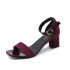 Sandals Women's Summer 2017 New Style Coarse Heel Black Student Open Toe Strap Roman High Heels Women