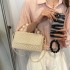 Fairy Bag Summer 2024 New Small Fragrant Style Pearl Handheld Instagram Popular Women's One Shoulder Vacation Woven Bag