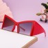 2024 New European and American Retro Large Frame Sunglasses for Women, Personalized Cat Eye Sunglasses for Women, Cross border Wholesale Sunglasses