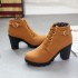 Autumn high heels, single boots, belt buckles, women's shoes, thick heels, short boots, round toe, Martin boots, women's lace up and bare boots, knight boots