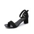 Sandals Women's Summer 2017 New Style Coarse Heel Black Student Open Toe Strap Roman High Heels Women