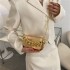 Metal Box Bag for Women 2024 European and American Fashion Personality Thick Chain Crossbody Bag Instagram Internet Celebrity Single Shoulder Phone Bag