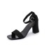 Sandals Women's Summer 2017 New Style Coarse Heel Black Student Open Toe Strap Roman High Heels Women