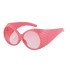 2024 Fashion Oval Frame Sunglasses for Women, Trendy European and American Popular Products, Internet Celebrity Large Frame Sunglasses for Women, Cross border Wholesale