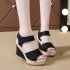 2020 Summer New European and American Slope Heel Fish Mouth Sandals for Women's Casual, Thick Bottom, High Heels, Velcro Women's Shoes