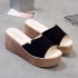 2019 Women's Summer Fashion Outerwear Slippers Korean Edition Tai Po Heel Cool Drag Thick Bottom High Heels Sponge Cake Bottom One Line Slippers