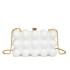 Foreign trade acrylic bag for women 2024 new European and American fashion candy color niche versatile chain crossbody box bag