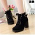 2017 New High Heel Coarse Heel Casual Women's Boots Sponge Cake Thick Bottom Short Boots Round Head 888 Martin Short Boots Wholesale