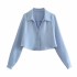 Foreign Trade 2024 Spring New Women's Clothing European and American Style Fashion Simple and Versatile Silk Texture Short Shirt