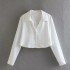 Foreign Trade 2024 Spring New Women's Clothing European and American Style Fashion Simple and Versatile Silk Texture Short Shirt