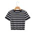 Foreign trade 2024 summer new women's clothing European and American style short cut ice silk striped knitted short sleeved T-shirt top for women