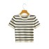 Foreign trade 2024 summer new women's clothing European and American style short cut ice silk striped knitted short sleeved T-shirt top for women