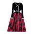 French court style dress, women's niche high-end temperament, knitted splicing jacquard fluffy fake two-piece long dress