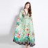 Original in stock | 2024 early spring vacation style temperament design sense V-neck printed long sleeved waist cinching dress