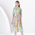 2024 Spring/Summer - Palace Style Flip Collar Short Sleeve Waist Wide Skirt Printed Long Dress