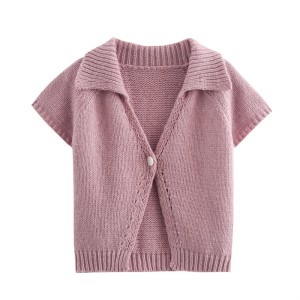 Foreign trade 2024 autumn new European and American style women's clothing fashion temperament casual commuting button thick needle short sleeved sweater