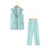 Foreign trade wholesale women's clothing 2024 summer new fashion elegant commuting style candy color vest high waisted pants set