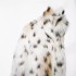 New fur coat for autumn 2024 in foreign trade, V-neck high-end women's short fur coat, niche design 4360241