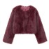 Foreign trade wholesale European and American style women's clothing French artificial fur effect short jacket jacket 6318261