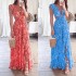 European and American women's clothing 2024 cross-border Amazon autumn new print deep V sexy exposed waist long pleated dress