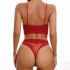 Cross border European and American sexy lace ultra-thin perspective seductive mesh bone suit T pants bra set women's underwear vest