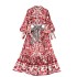 Design sense, European and American Instagram storm, West Asian niche print, single breasted stand up collar dress, women's pleated long dress