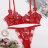 European and American Amazon Sex Set Women's Small Fresh Flower Embroidery Stickers Mesh Sexy Bra Manufacturer Direct Sales