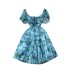 Summer new light luxury palace oil painting, French printing, high-end design, niche girl short waist dress