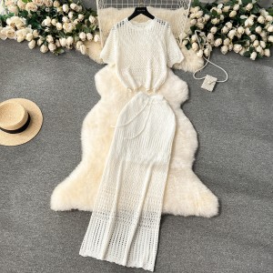 Korean style set 2024 new women's spring style hollow knitted sweater versatile long skirt two-piece skirt set trendy