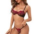 New cross-border Amazon sexy lingerie women's hollow embroidery perspective mesh bra sexy bra set in stock