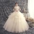 Main wedding dress bride 2024 new champagne color plus size forest series super fairy small temperament dream travel photography wedding dress autumn