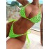 2024 European and American new women's split leopard print sexy backless double-sided bikini swimsuit women's swimsuit