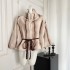 From a moment, South Korean beauties stand up collar short fur coat for women, gentle, light luxury, winter high-end new style