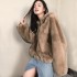 2020 Winter New Korean Edition Imitation Fur Coat Women's Hoodie Fashion Casual Hoodie Warm Baseball Jacket Multi Color