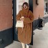 2023 new autumn and winter casual teddy plush coat women's fur coat long stand up collar European and American temperament fashion