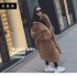 2021 autumn and winter European and American station imitation otter rabbit fur thick medium long hooded fur coat fur coat women's fashion trend