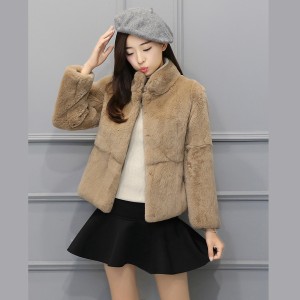 2019 new autumn and winter warm imitation otter rabbit fur short style long sleeved casual slimming imitation fur coat, feminine and trendy