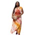 European and American women's clothing 2024 autumn new style elegant print V-neck high waist slimming dress long skirt