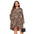 Amazon autumn and winter leopard print dress, AliExpress European and American fashion leopard print long sleeved plus size loose dress