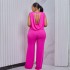 Foreign trade European and American plus size women's clothing 2024 spring/summer new style temperament backless sleeveless top wide leg pants jumpsuit