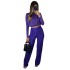 European and American women's 2024 summer round neck short sleeved base shirt pleated high waisted casual pants two-piece set