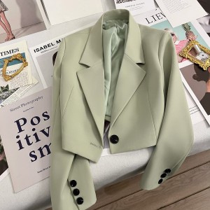 Short style suit jacket for women in spring and autumn 2024, new small and high-end design, versatile cross-border suit jacket