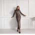 2024 Cross border Foreign Trade AliExpress European and American Style Autumn New Fashion Leopard Pattern Stand up Collar Long Sleeve Dress for Women