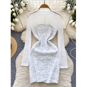 Goddess style sexy see through mesh long sleeved patchwork sequin plush slimming and slimming temperament, hip hugging dress dress